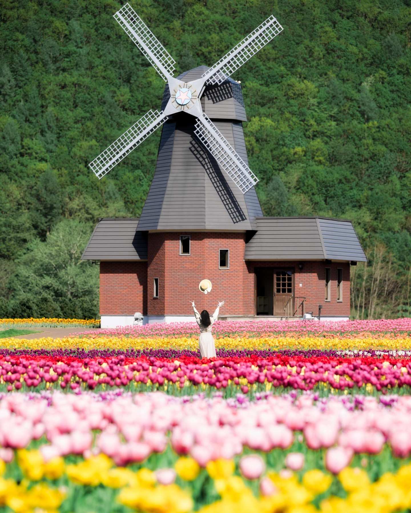 かみゆうべつチューリップ公園の写真