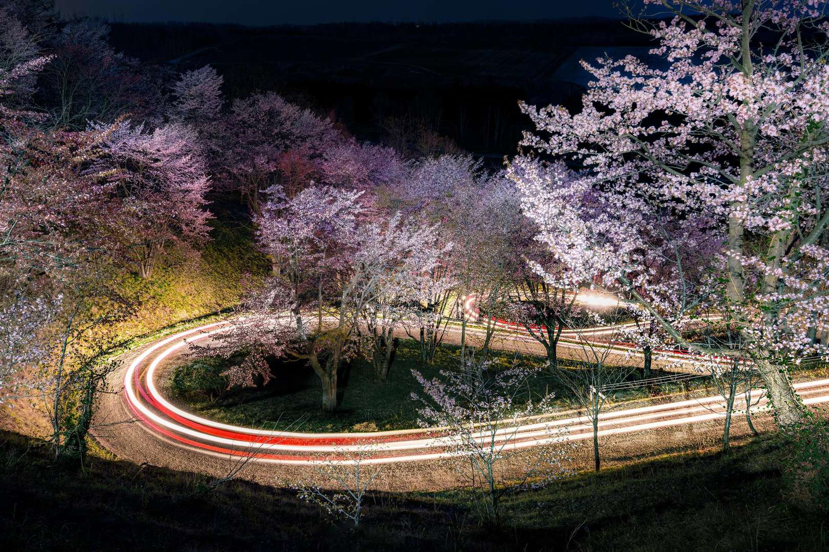 深山峠さくら園 (夜)の写真