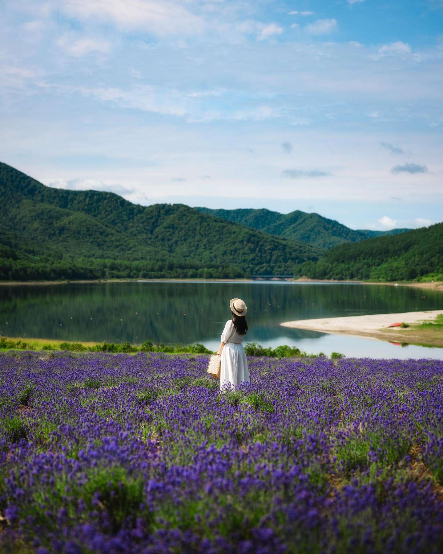 かなやま湖の写真