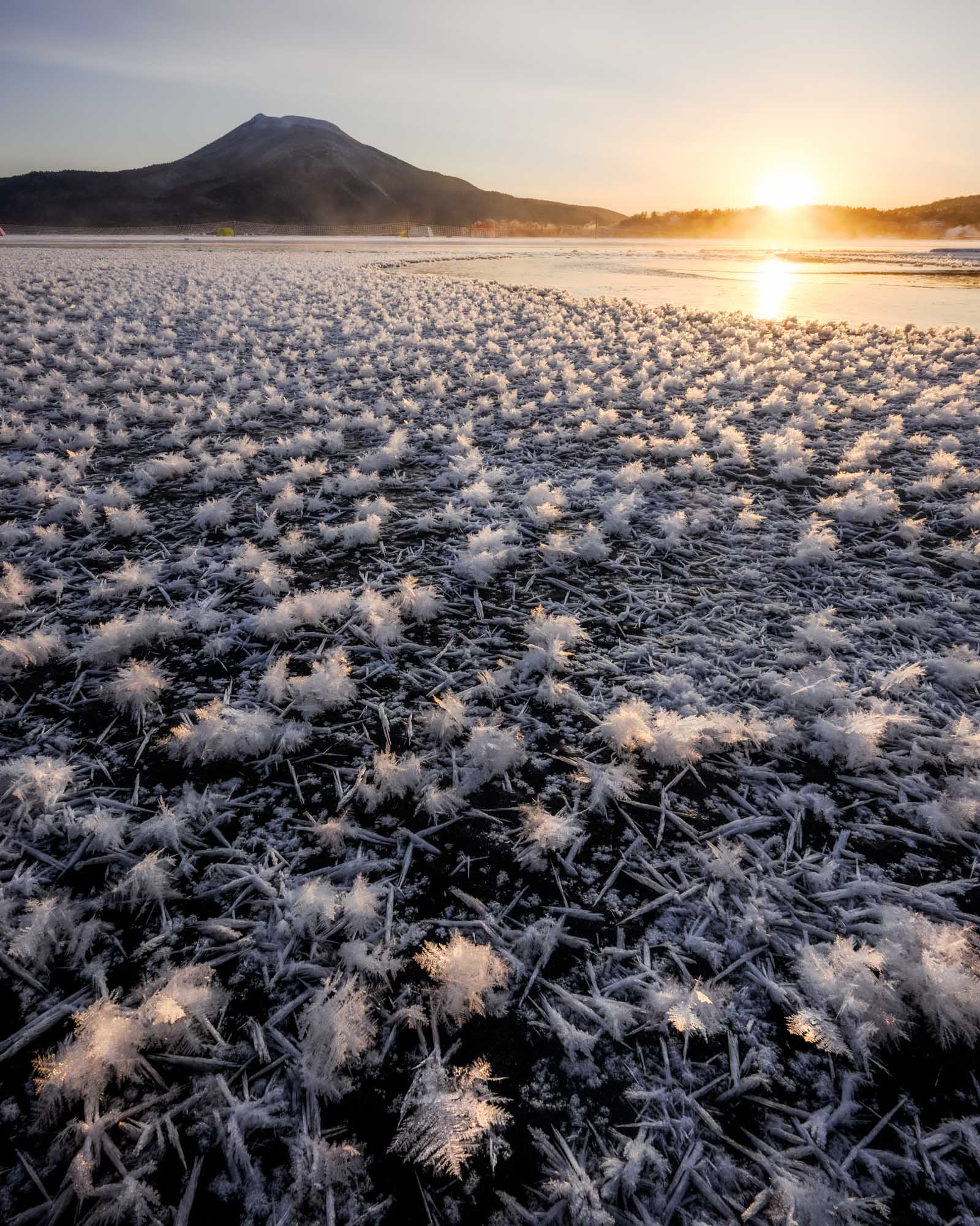 阿寒湖 フロストフラワーの写真