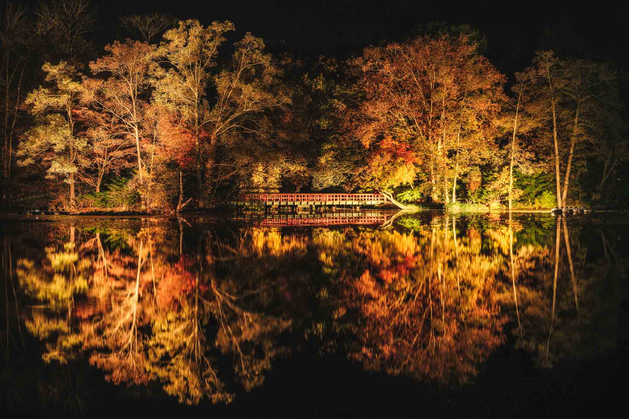 八郎沼公園の写真