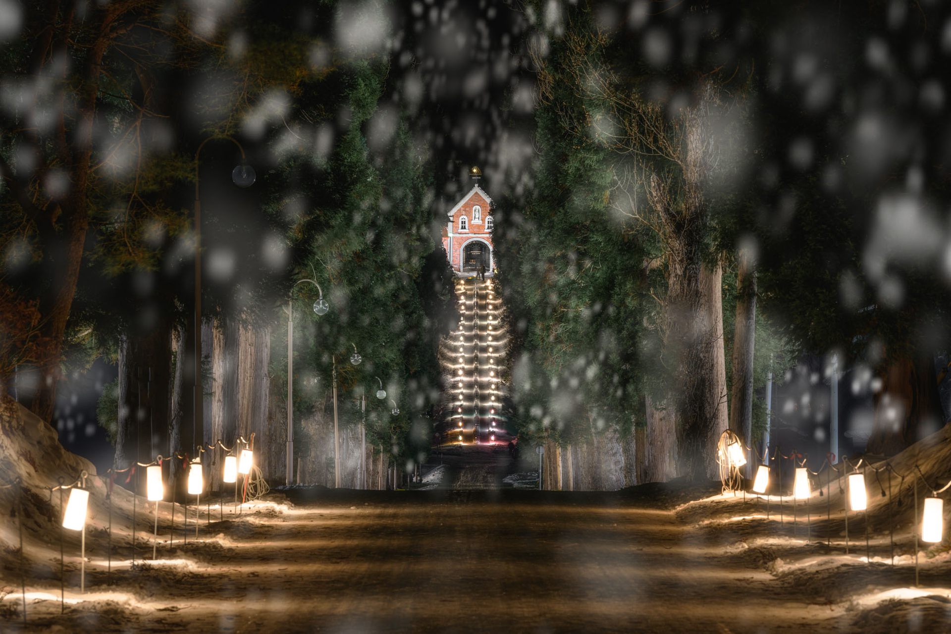 トラピスト大修道院 (ライトアップ)の写真